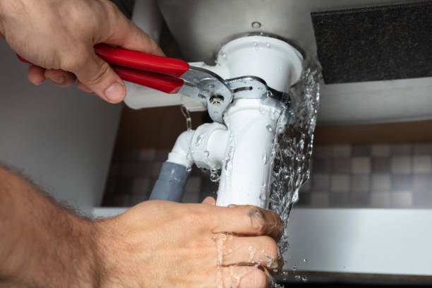 Best Water damage contractors near me  in Eloy, AZ