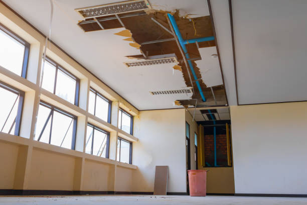 Reliable AZ Water damage restoration Solutions