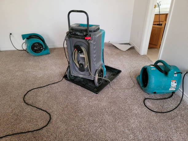 Best Water damage restoration experts  in Eloy, AZ