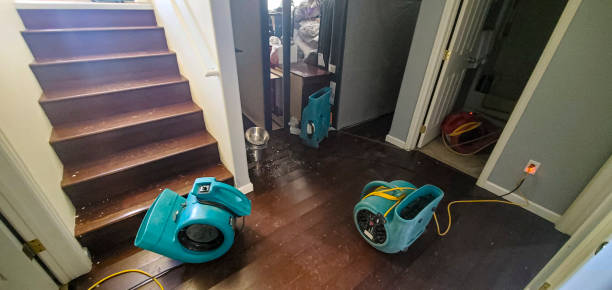 Best Sewage cleanup and water damage restoration  in Eloy, AZ