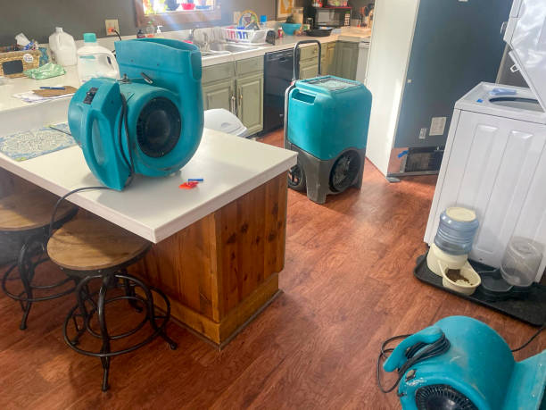 Best 24-hour water damage restoration  in Eloy, AZ