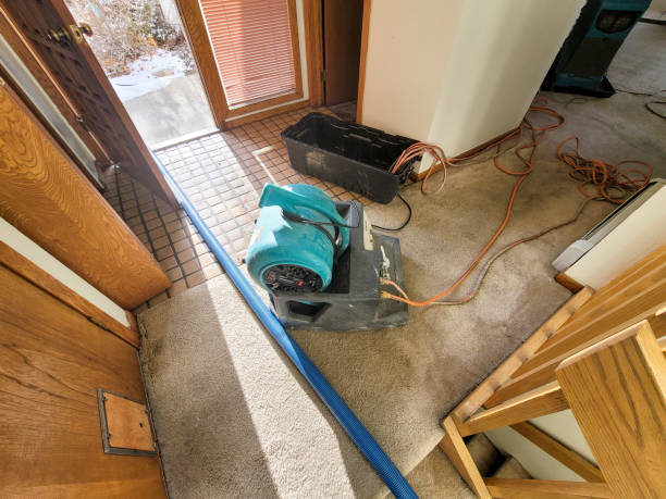 Best Professional water damage repair  in Eloy, AZ