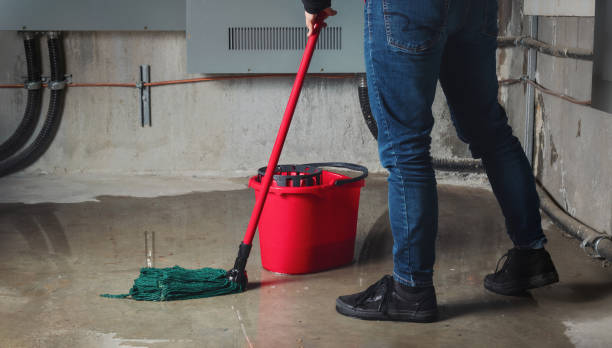 Best Sewage cleanup and water damage restoration  in Eloy, AZ