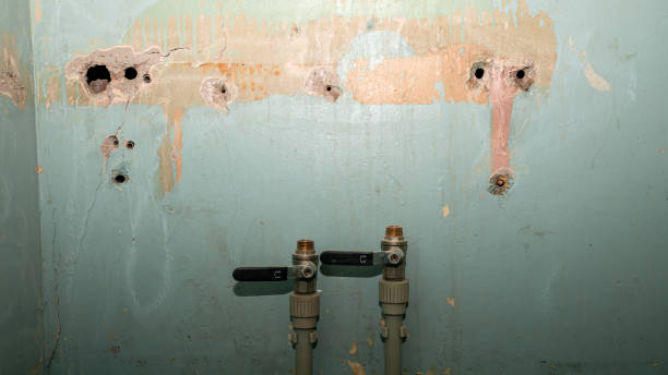 Best Flood damage cleanup  in Eloy, AZ