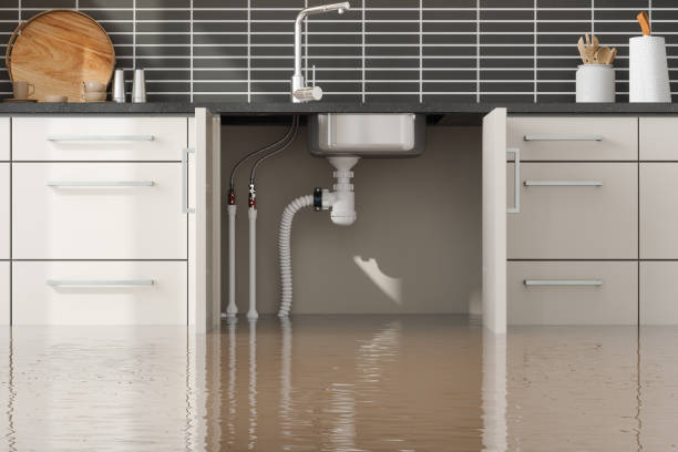 Best Water damage restoration near me  in Eloy, AZ
