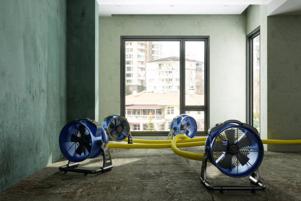 Best Local water damage restoration  in Eloy, AZ